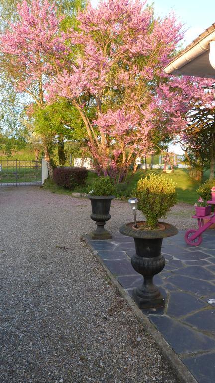 Le Jardin De Marie-Jeanne Bed & Breakfast Achy Екстериор снимка
