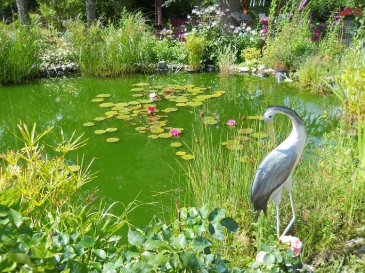 Le Jardin De Marie-Jeanne Bed & Breakfast Achy Екстериор снимка